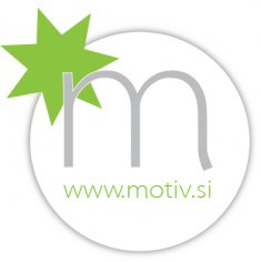 Motiv_-_logo.jpg