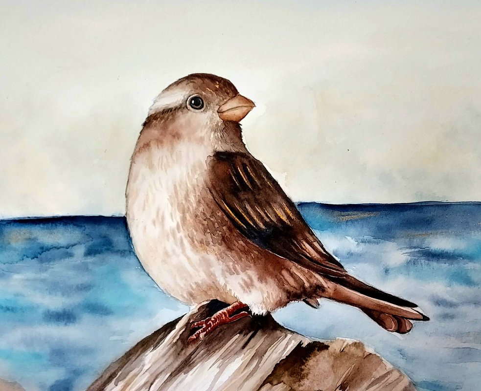 646678680_26438229585781907_4347839610958176869_n 646678680_26438229585781907_4347839610958176869_n.jpg